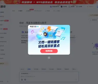 有道翻译·AI写作