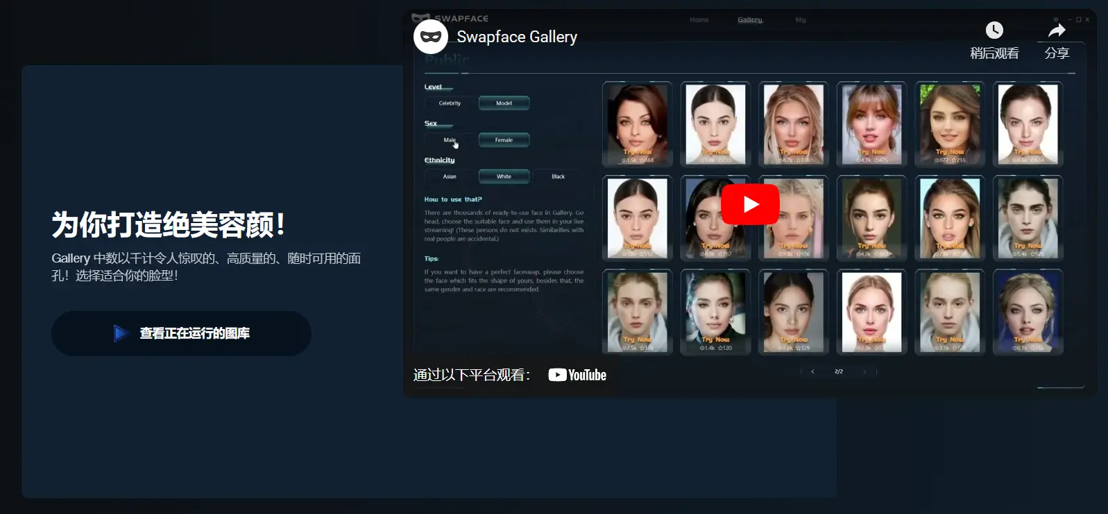 Swapface人脸交换